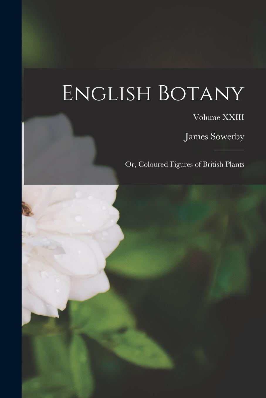 Vorderes Coverbild English Botany: Or, Coloured Figures of British Plants; Volume XXIII