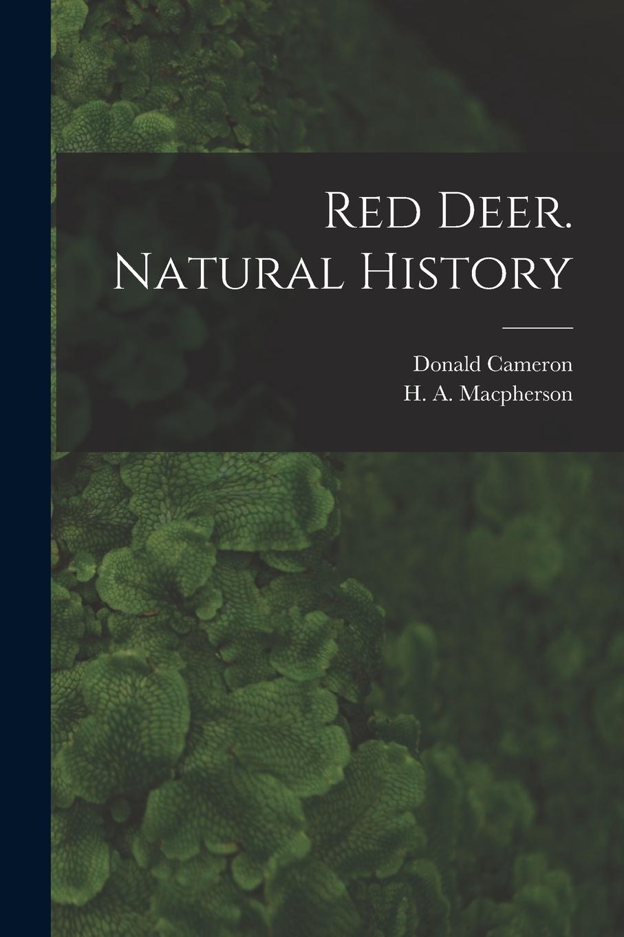 Vorderes Coverbild Red Deer. Natural History