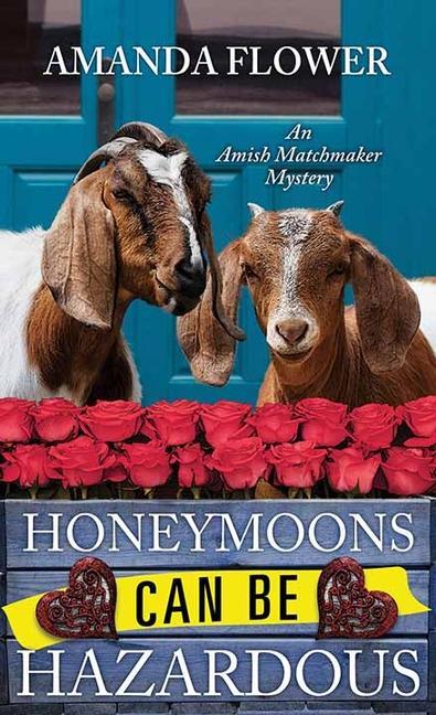 Vorderes Coverbild Honeymoons Can Be Hazardous