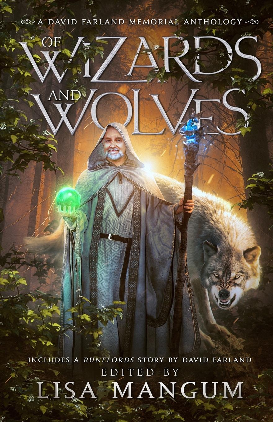 Vorderes Coverbild Of Wizards and Wolves