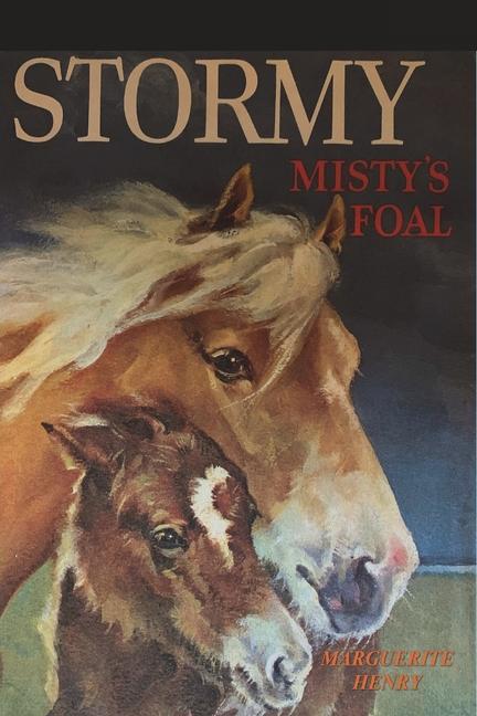 Vorderes Coverbild Stormy, Misty's Foal
