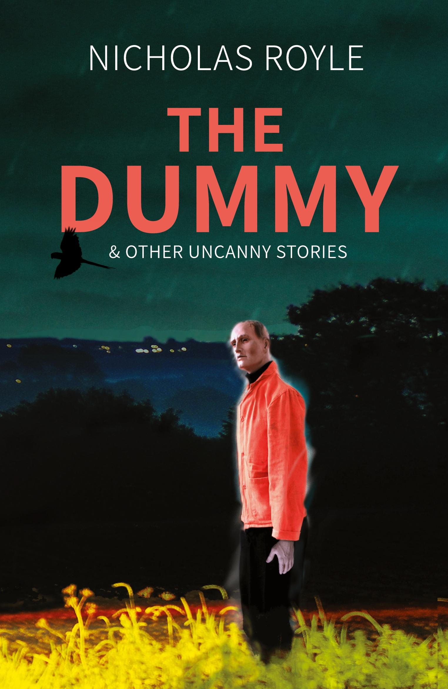 Vorderes Coverbild The Dummy