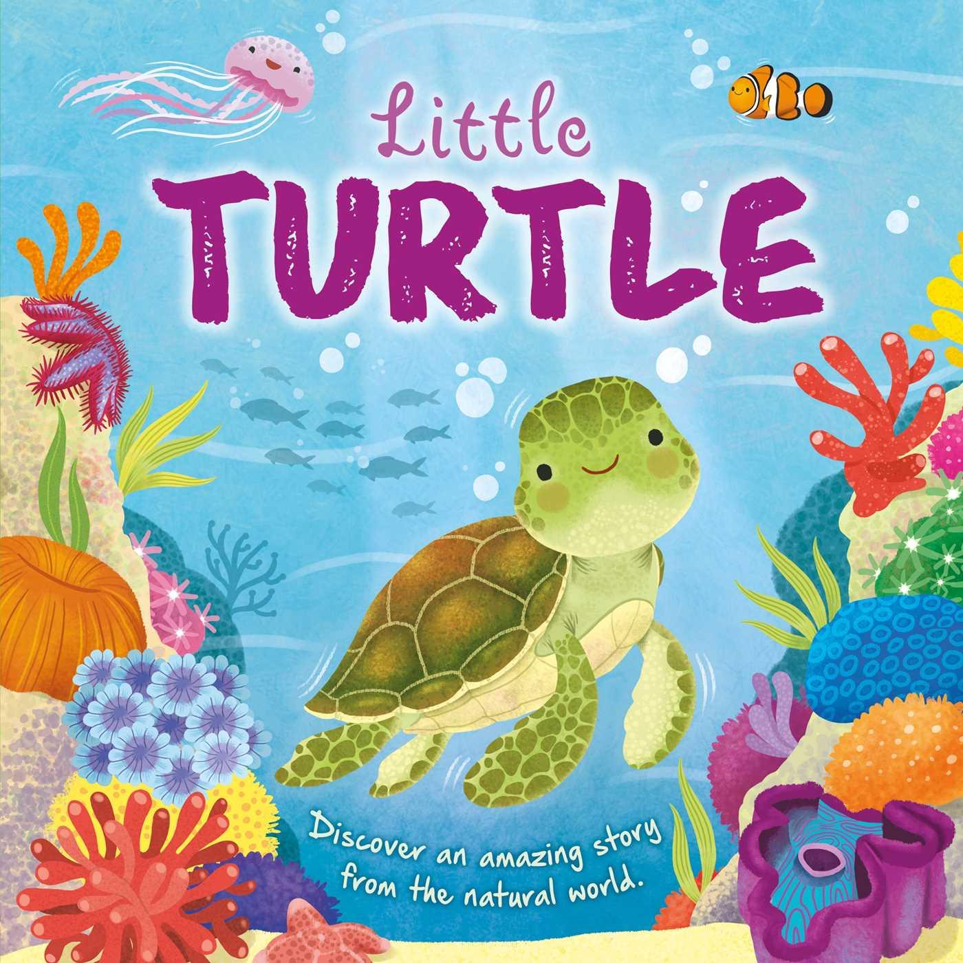 Vorderes Coverbild Nature Stories: Little Turtle-Discover an Amazing Story from the Natural World