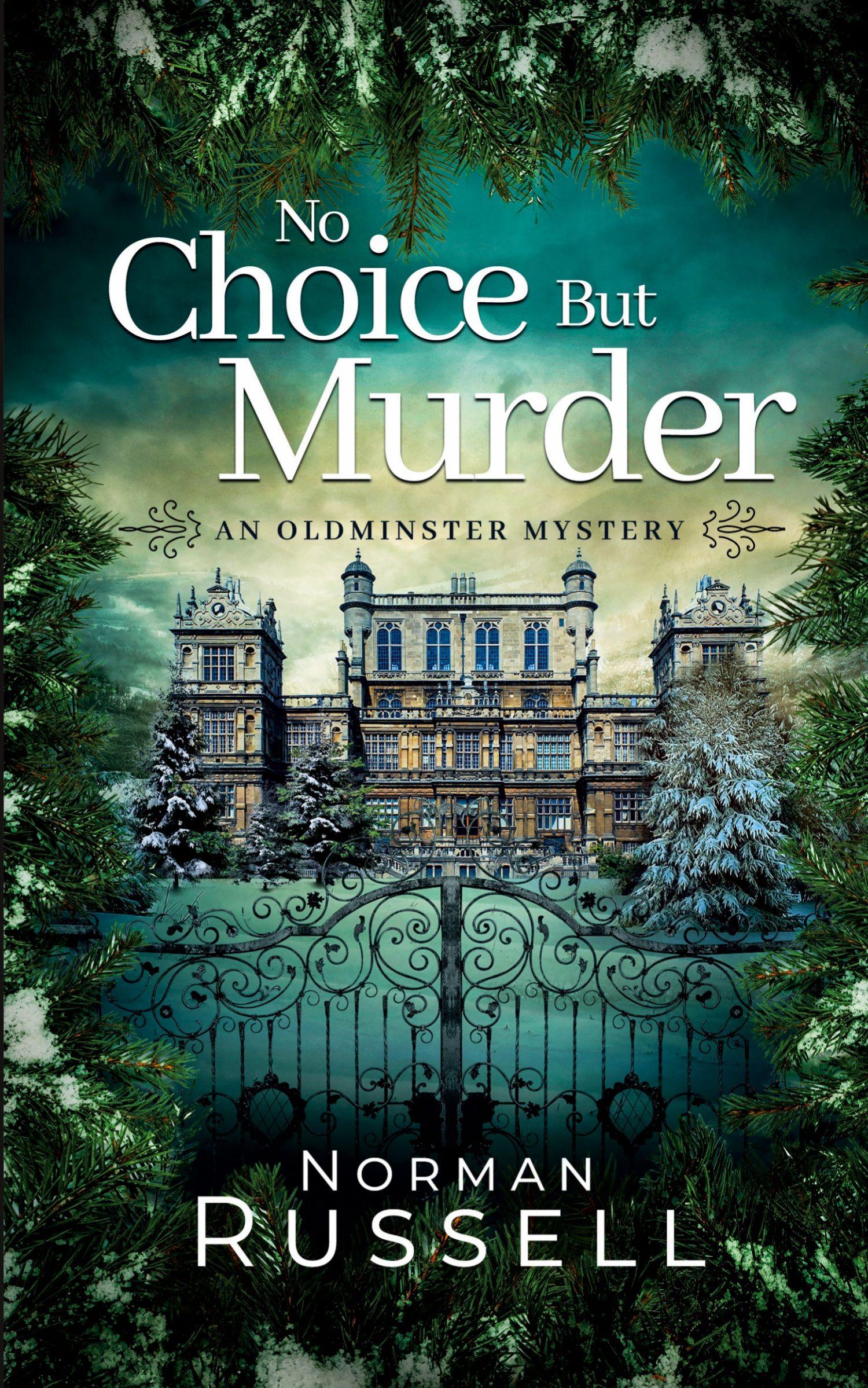 Vorderes Coverbild NO CHOICE BUT MURDER an absolutely gripping murder mystery full of twists