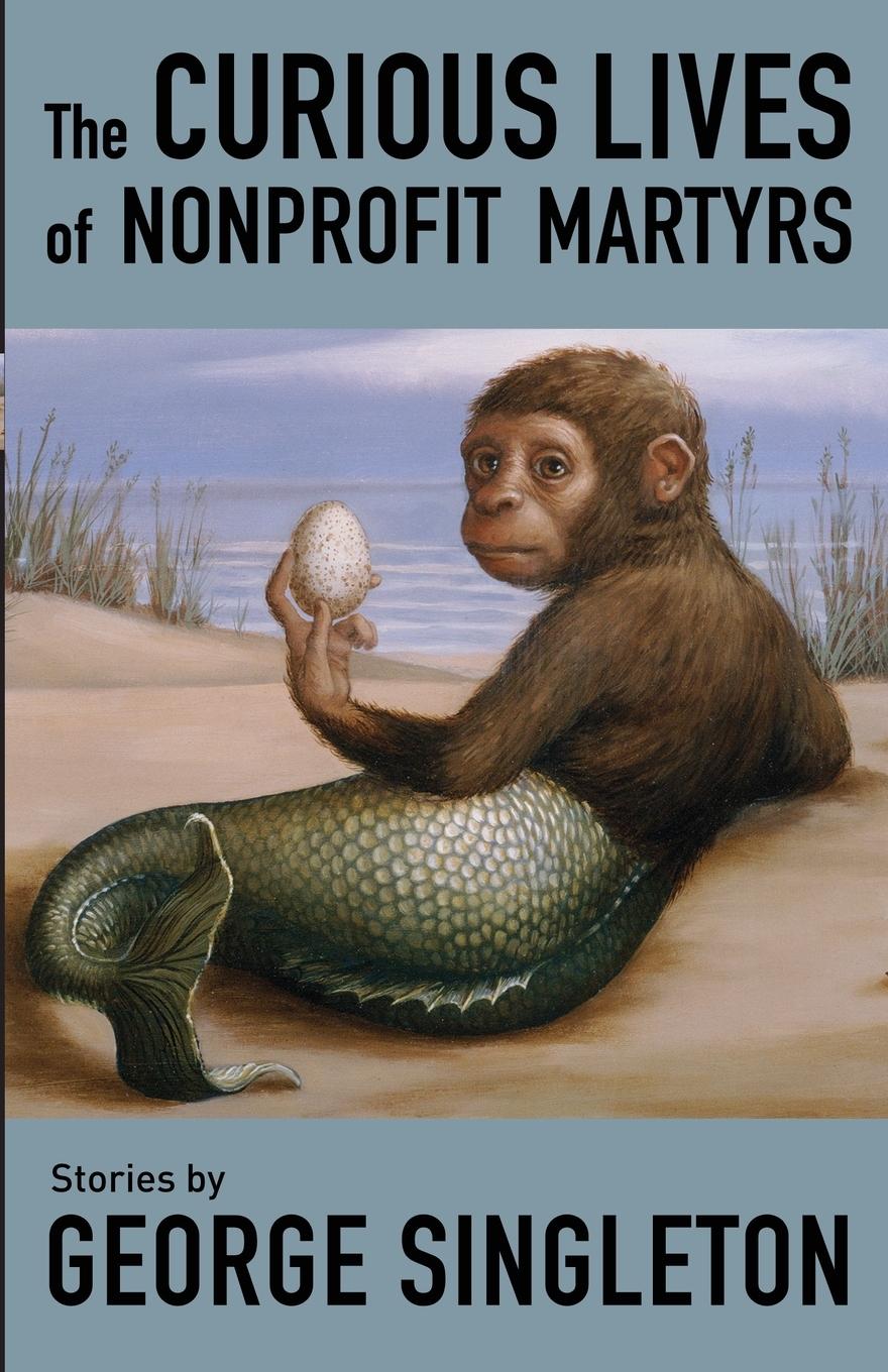 Vorderes Coverbild The Curious Lives of Nonprofit Martyrs