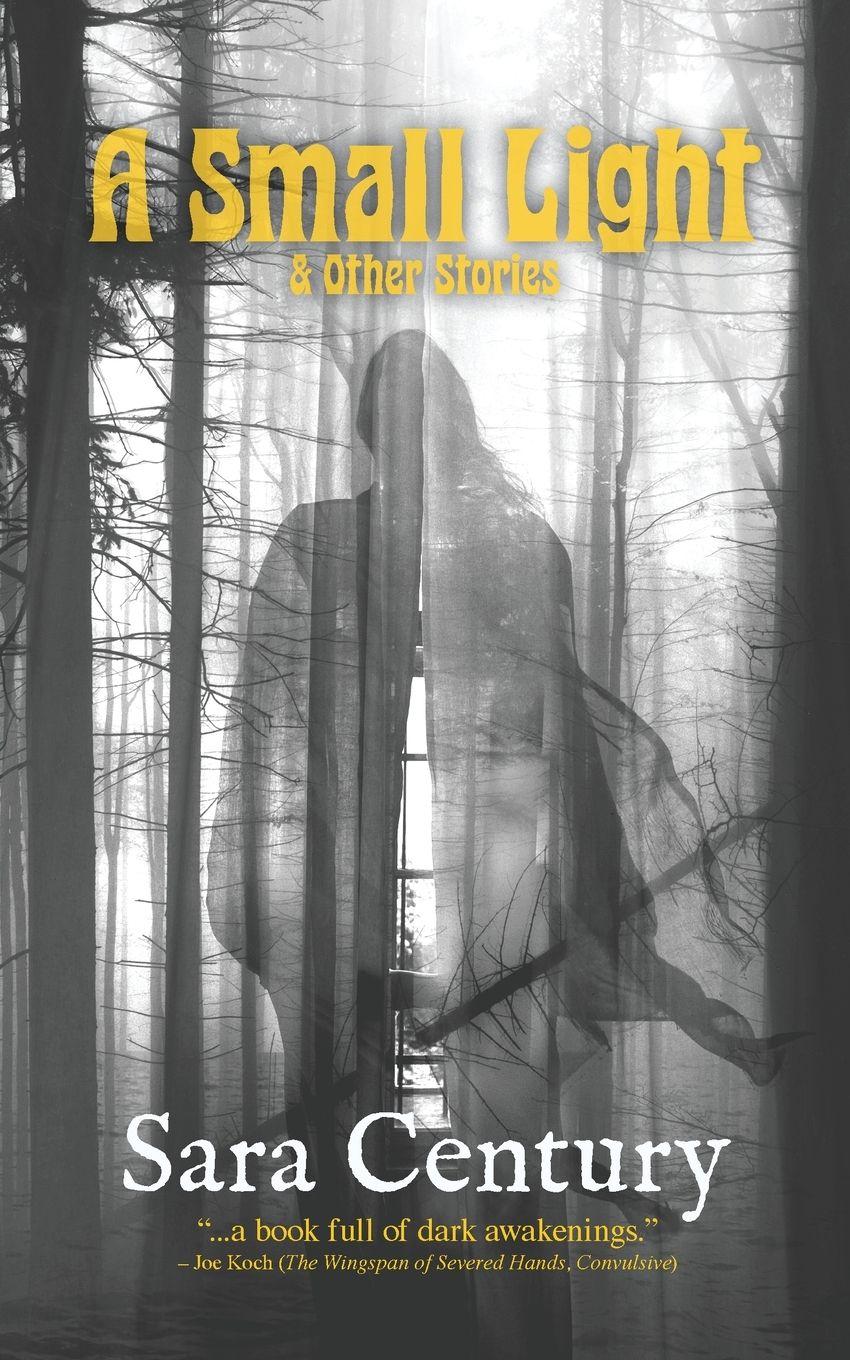 Vorderes Coverbild A Small Light & Other Stories