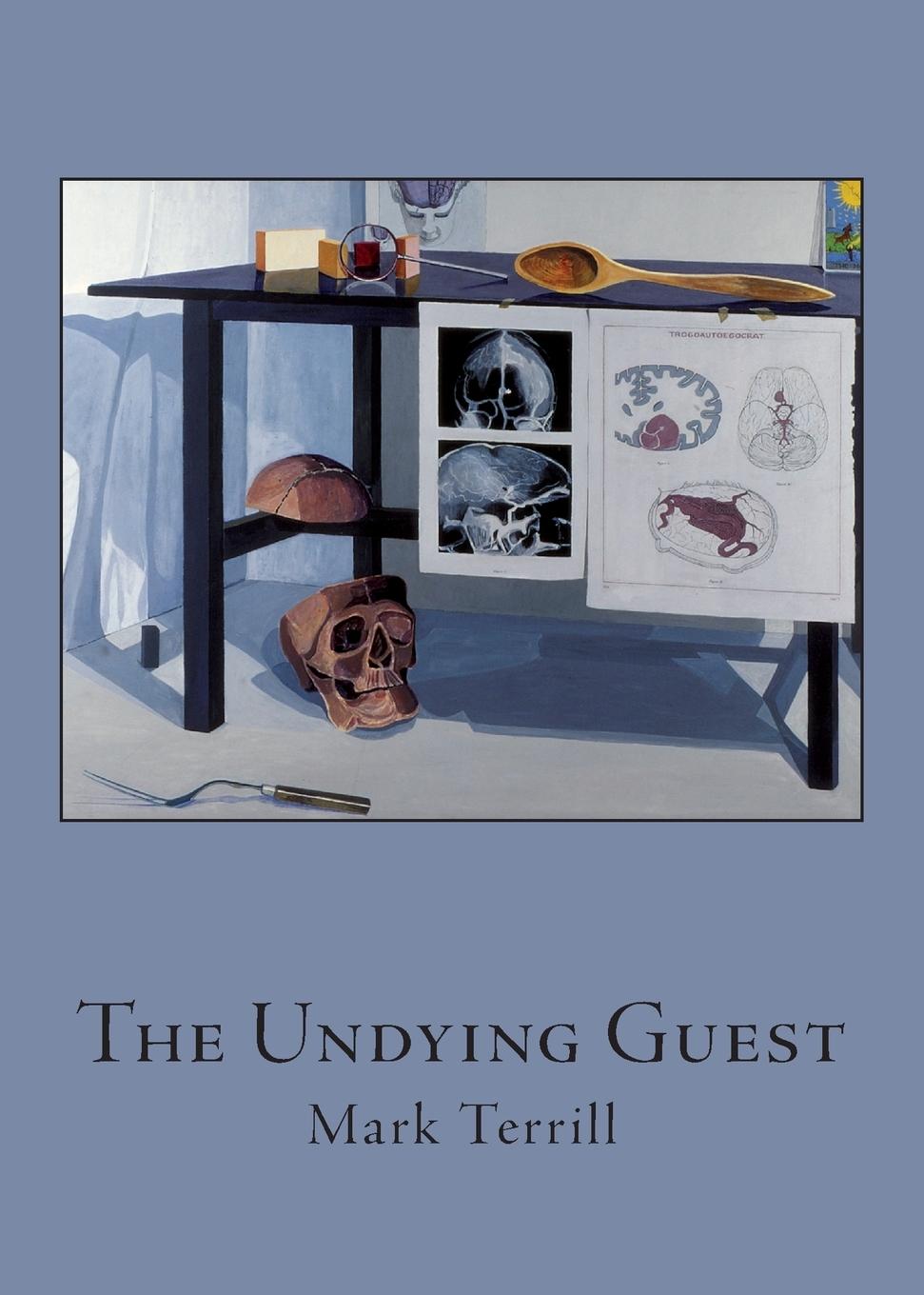Vorderes Coverbild The Undying Guest