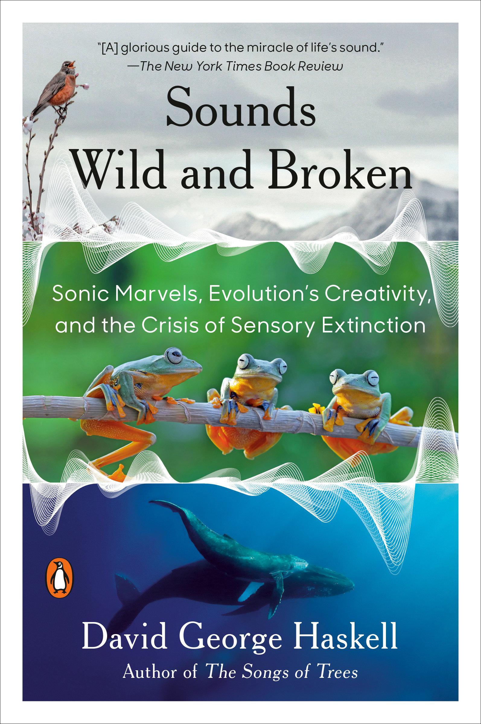 Vorderes Coverbild Sounds Wild and Broken