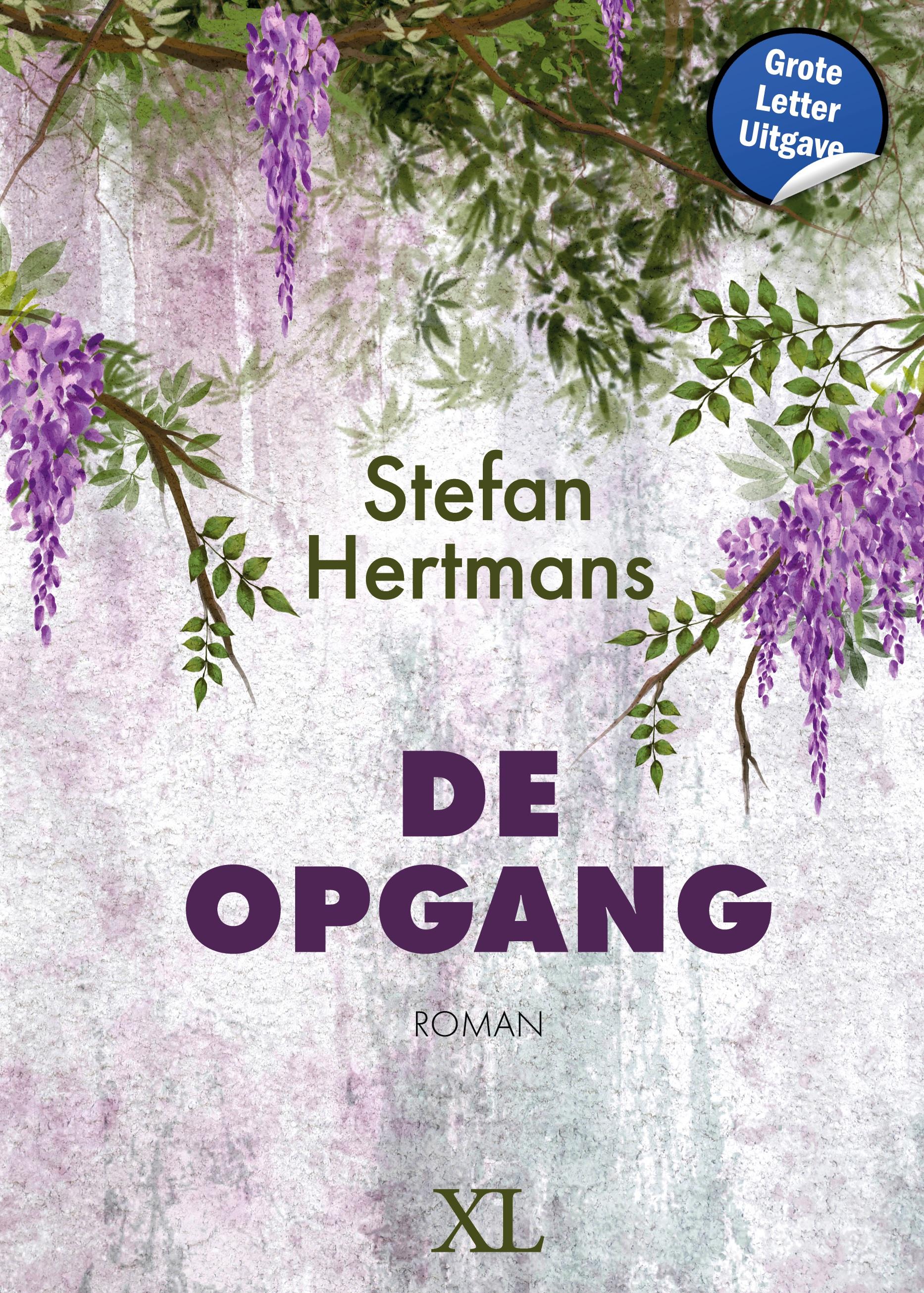 Vorderes Coverbild De opgang