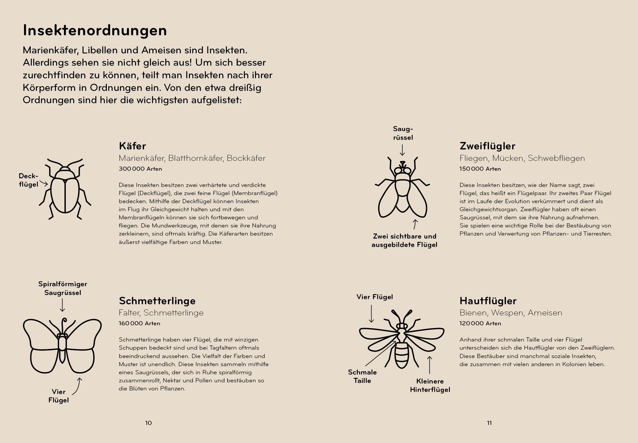 Beispielinhalt (Bild) Insektorama