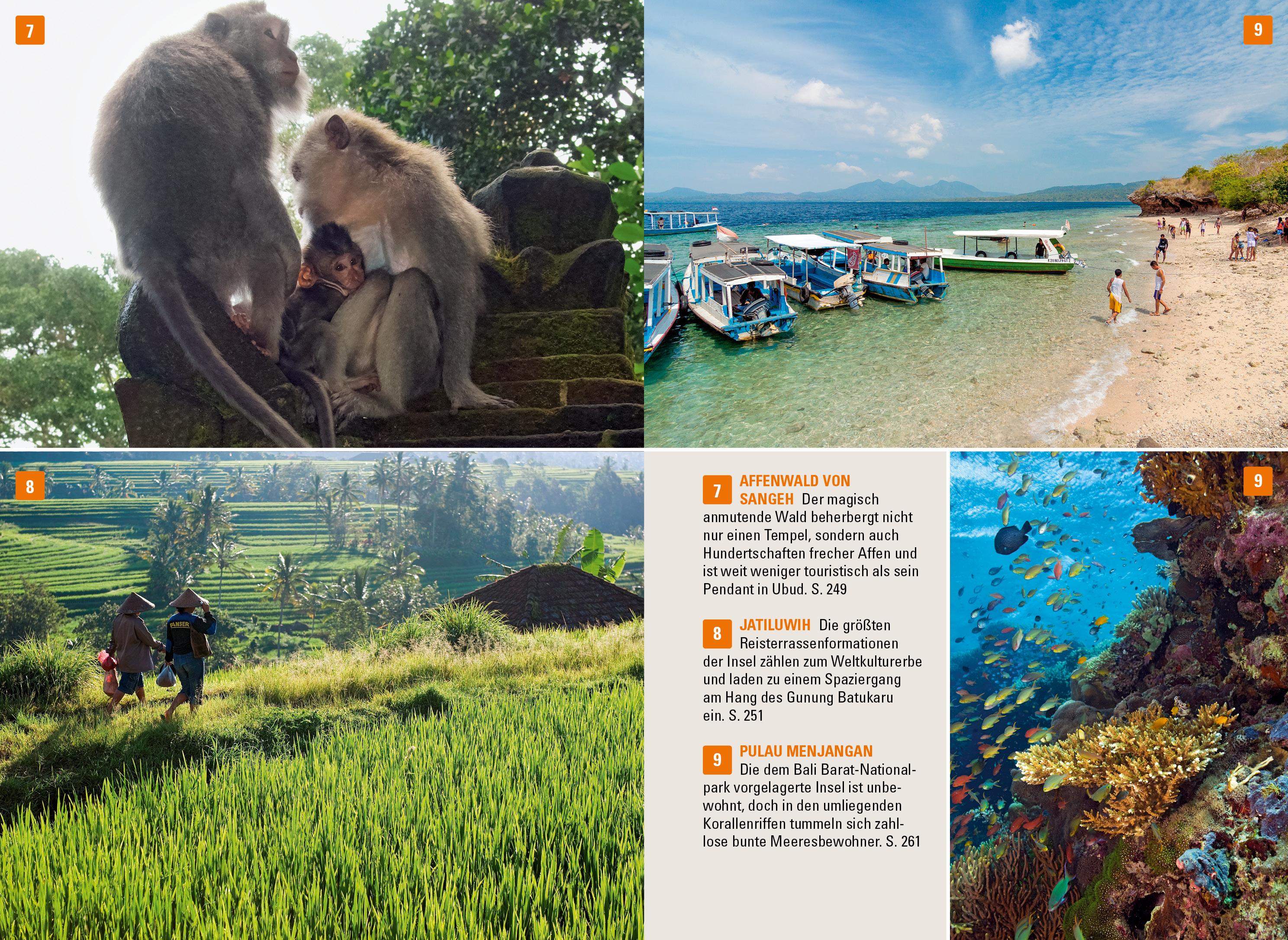 Beispielinhalt (Bild) Stefan Loose Reiseführer Bali, Lombok