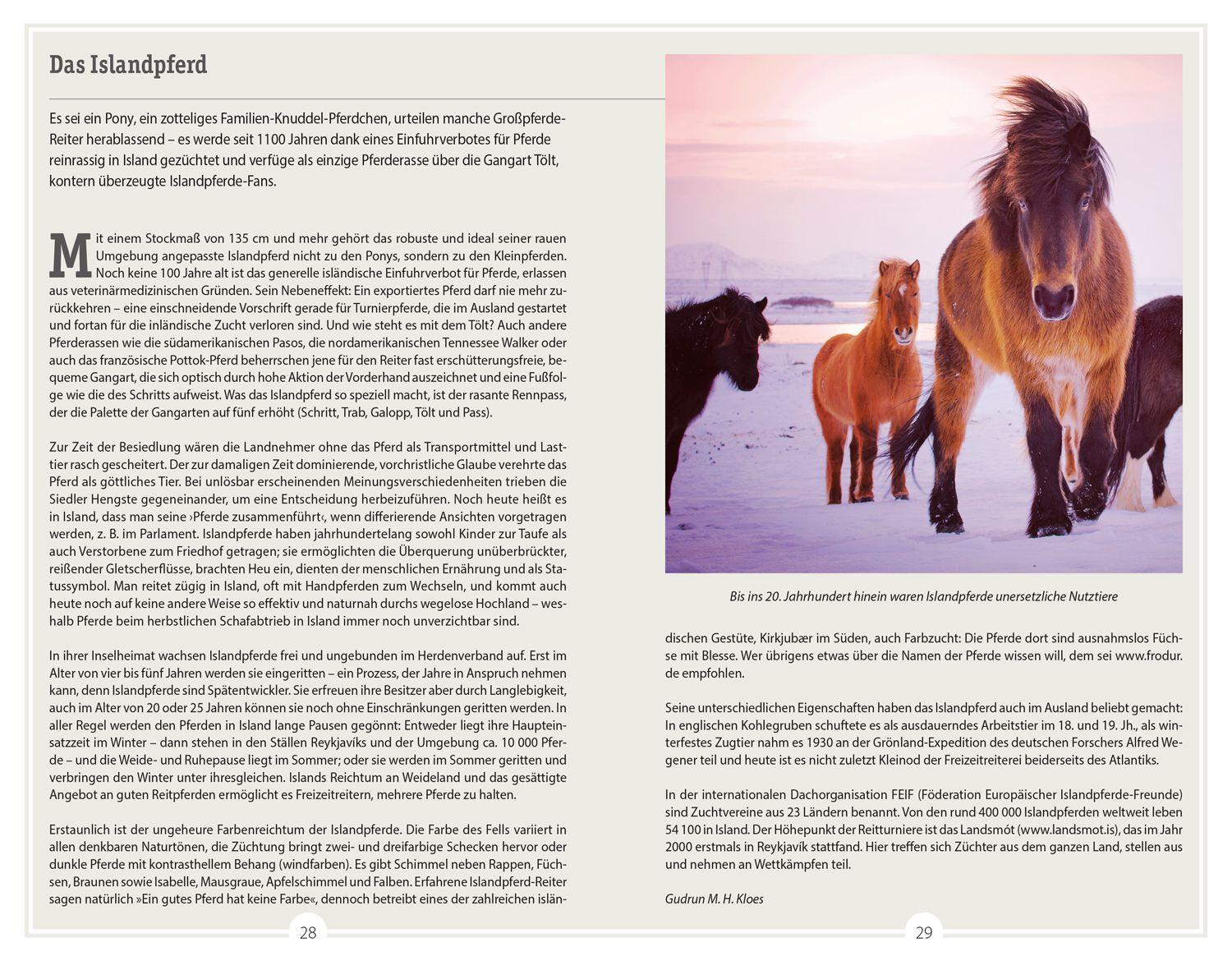 Beispielinhalt (Bild) DUMONT Reise-Handbuch Reiseführer Island