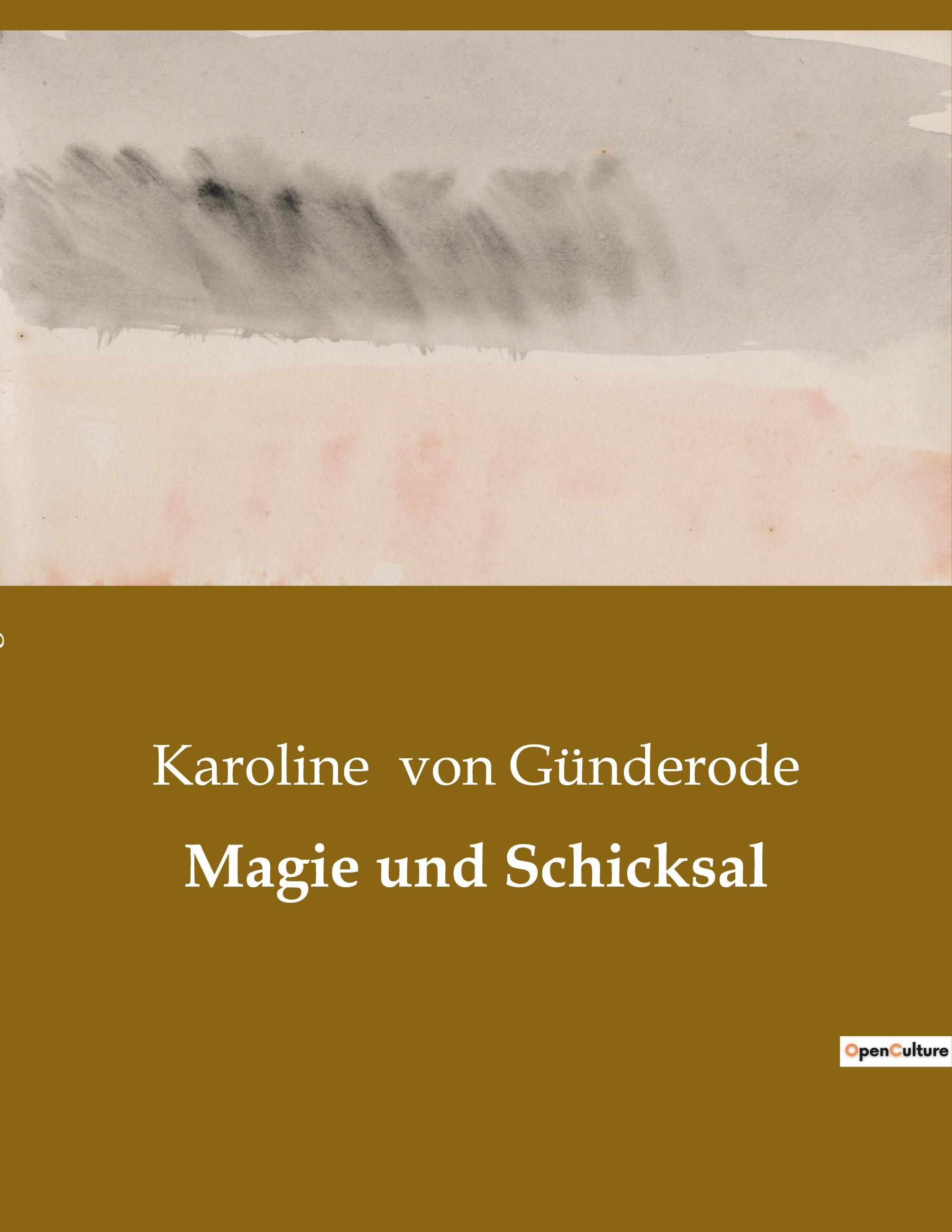 Vorderes Coverbild Magie und Schicksal