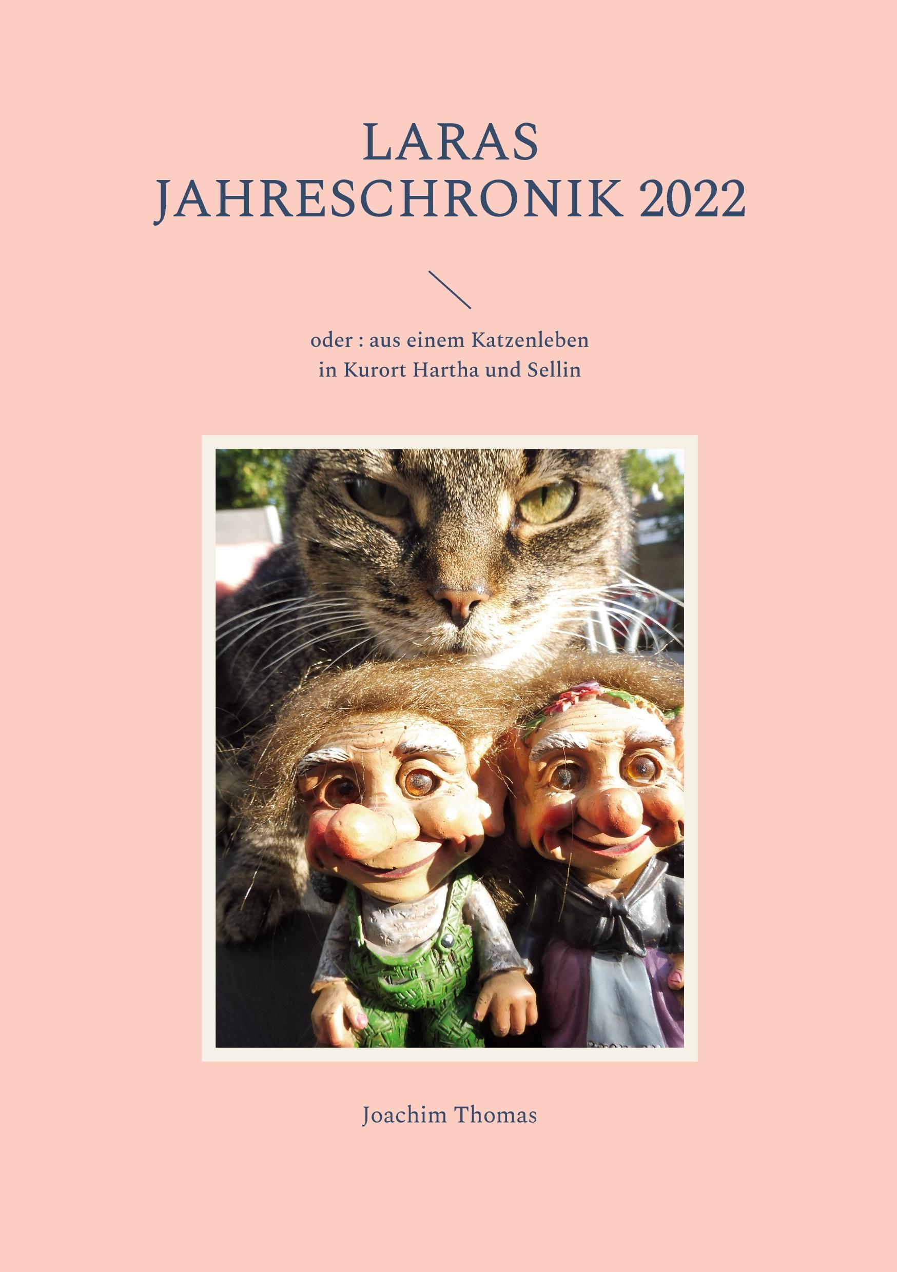 Vorderes Coverbild Laras Jahreschronik 2022