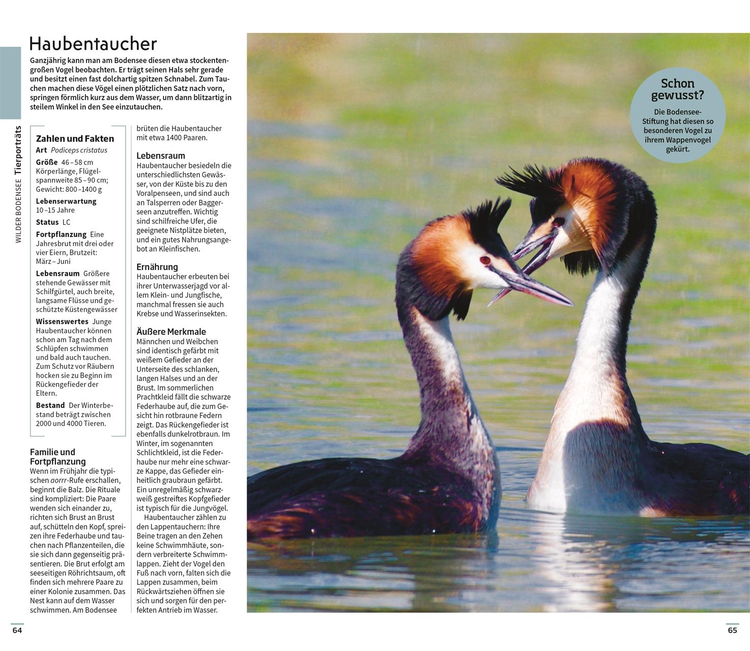 Beispielinhalt (Bild) Vis-à-Vis Reiseführer Bodensee