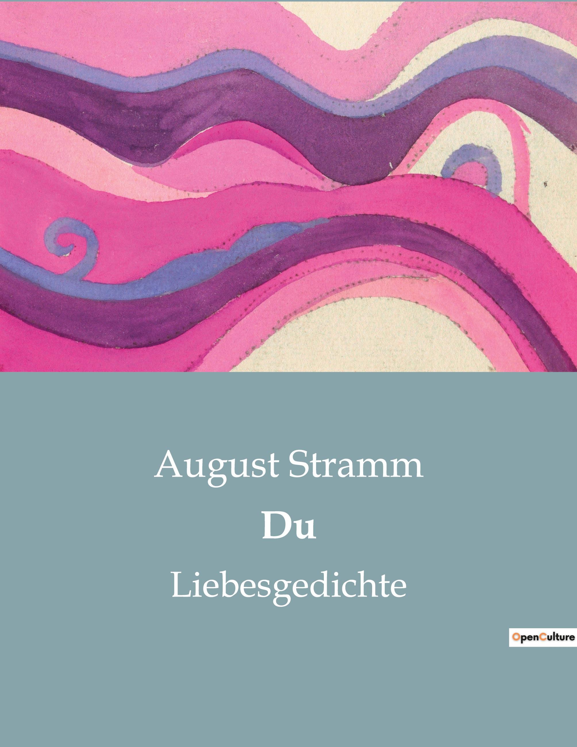 Vorderes Coverbild Du