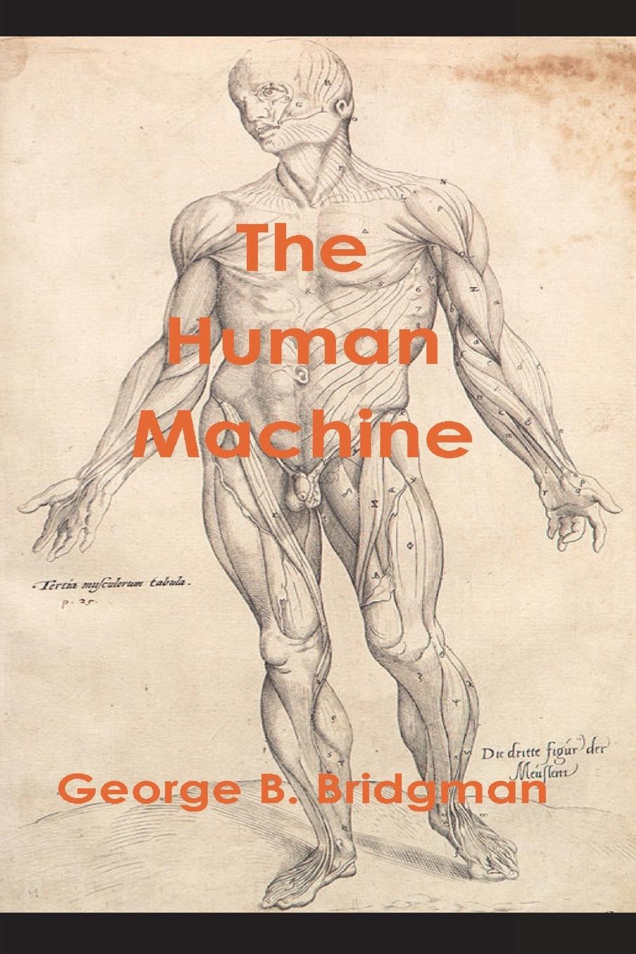 Vorderes Coverbild The Human Machine