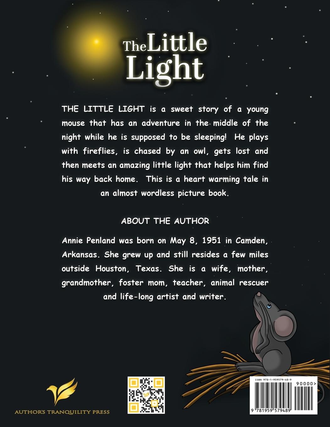 Rückseitencover The Little Light