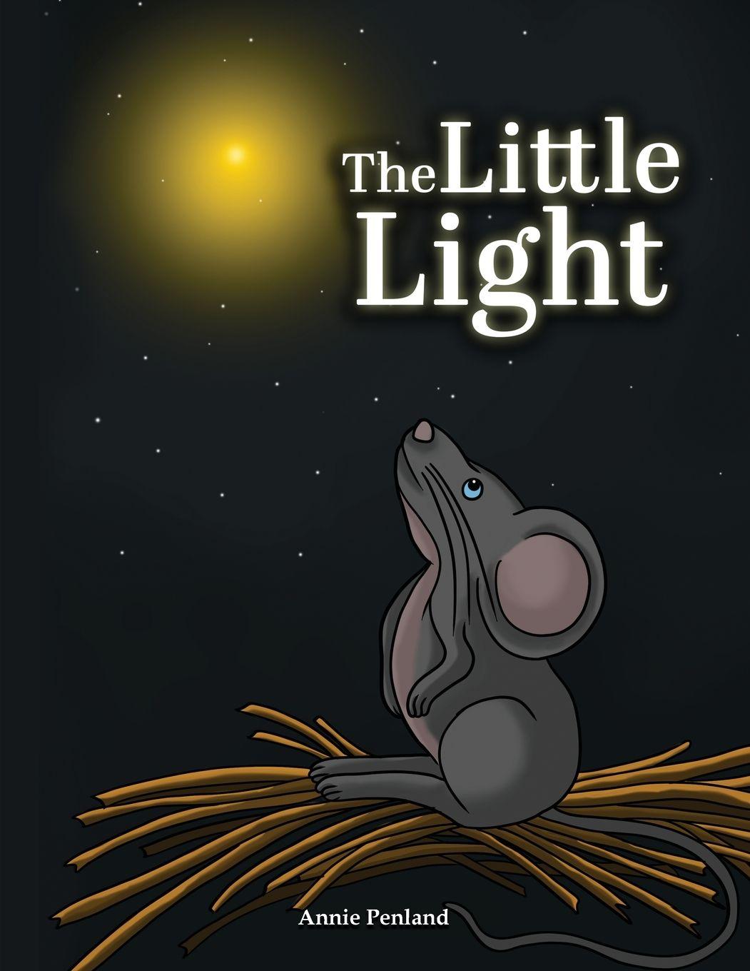 Vorderes Coverbild The Little Light