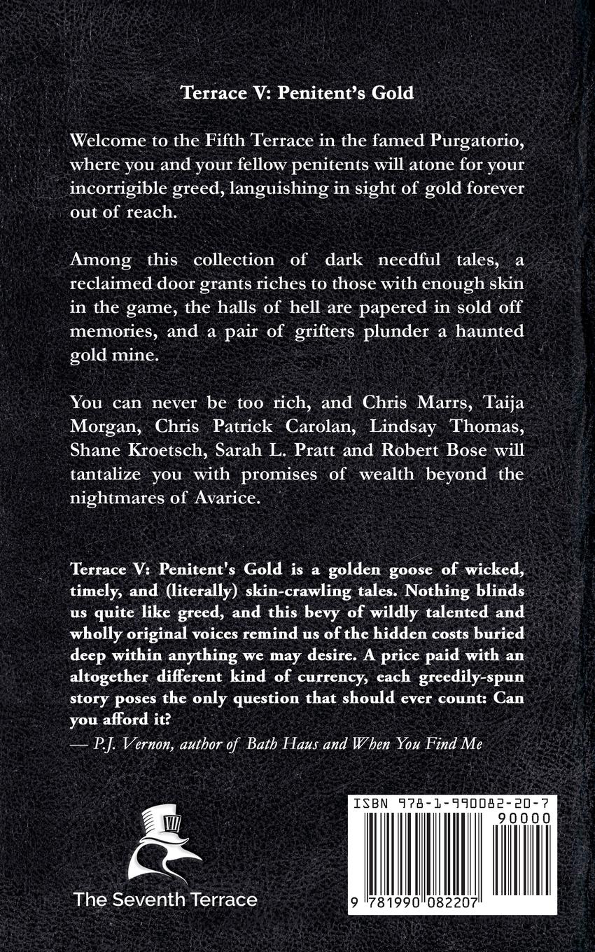 Rückseitencover Terrace V