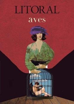 Vorderes Coverbild Aves