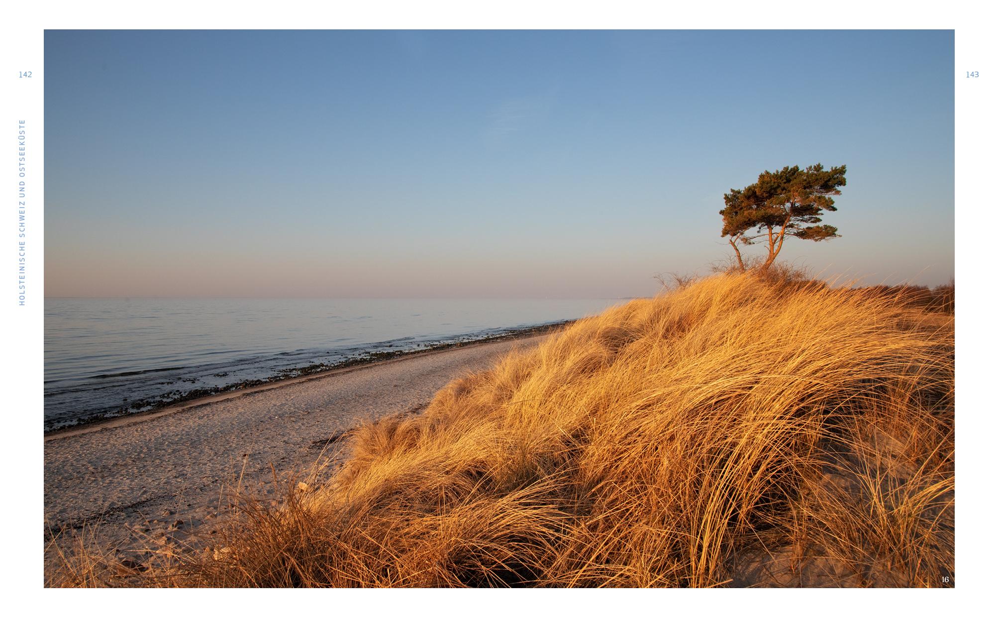 Beispielinhalt (Bild) Wild Guide Hamburg & der Nordwesten