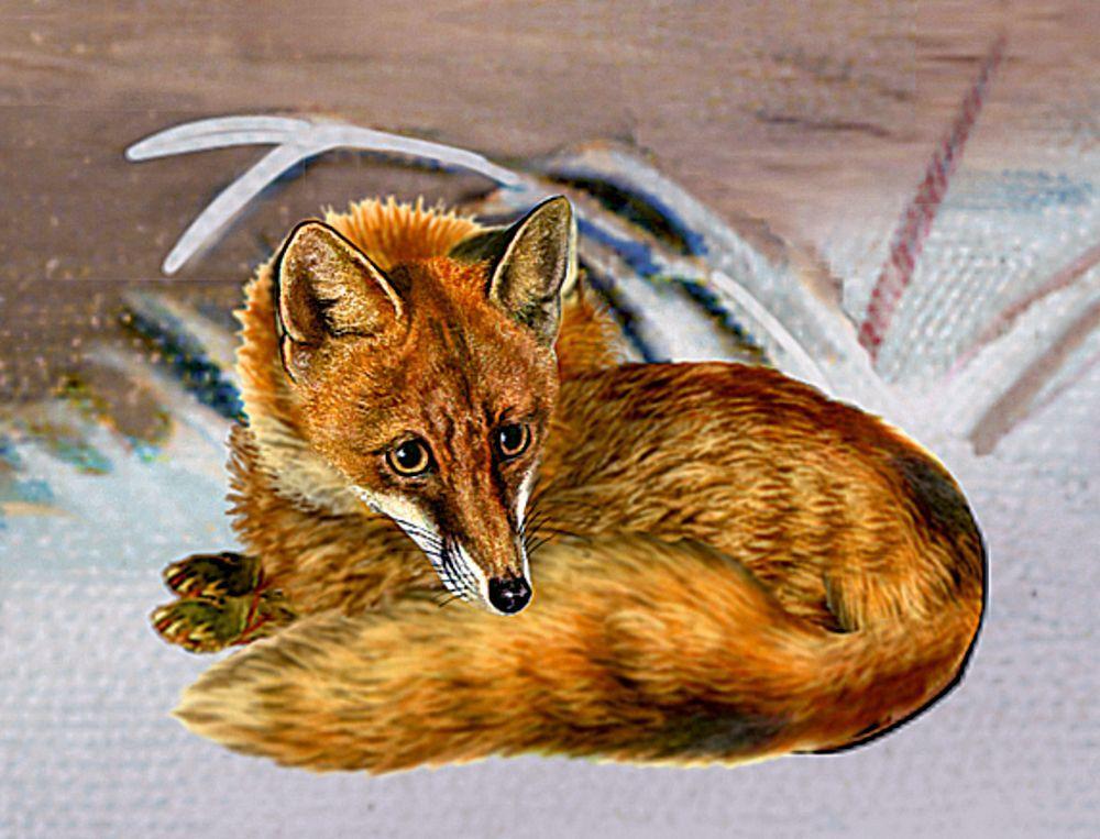 Beispielinhalt (Bild) A4-Wand-Adventskalender - Winterliches Cottage