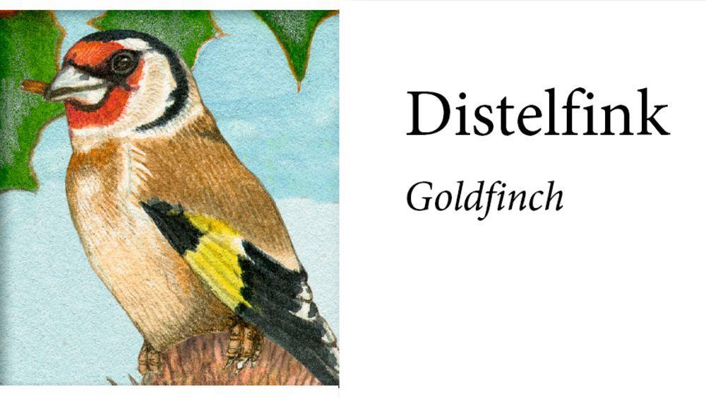 Beispielinhalt (Bild) Sound-Adventskalender - Unsere Vögel im Winter