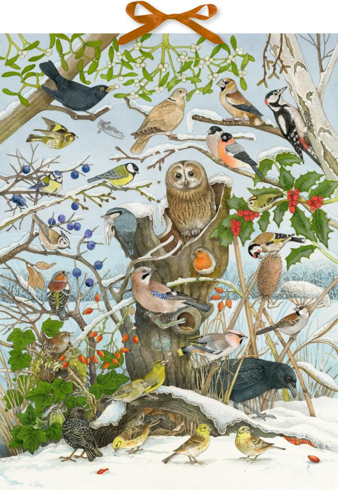 Vorderes Coverbild Sound-Adventskalender - Unsere Vögel im Winter