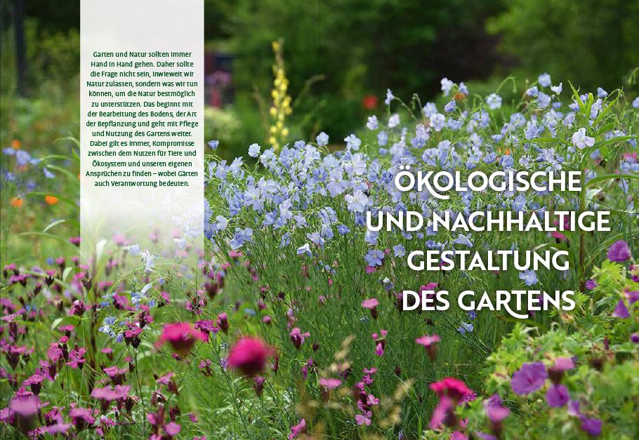 Beispielinhalt (Bild) Echte Hitzeprofis