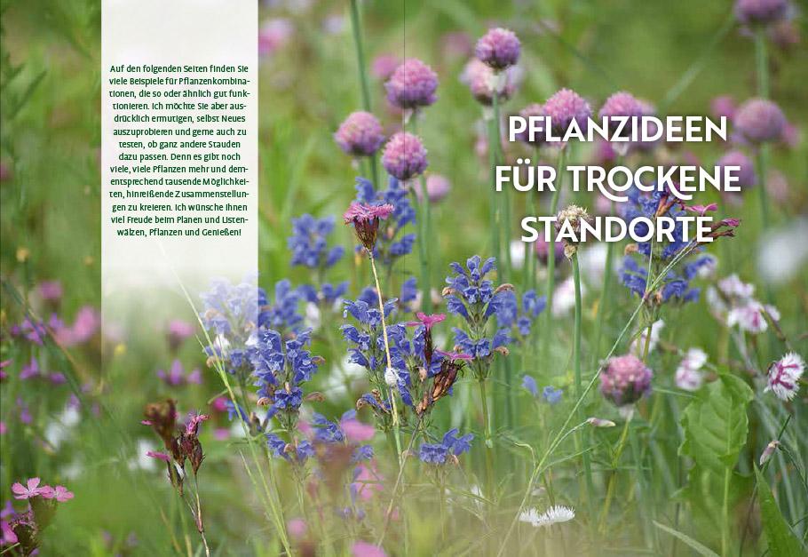 Beispielinhalt (Bild) Echte Hitzeprofis