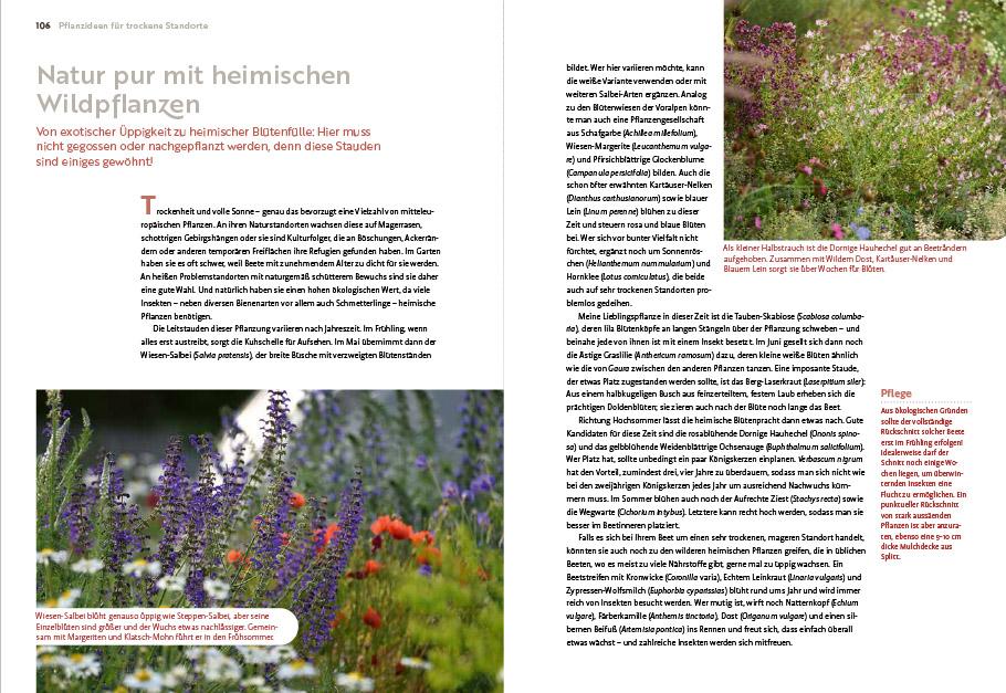Beispielinhalt (Bild) Echte Hitzeprofis