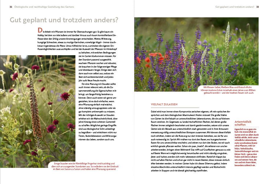 Beispielinhalt (Bild) Echte Hitzeprofis