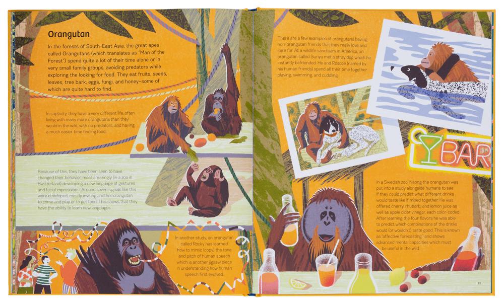 Beispielinhalt (Bild) Smart Animals
