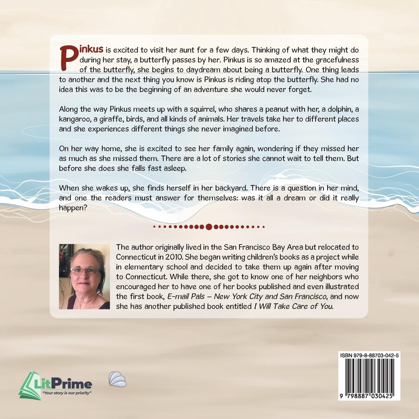 Rückseitencover The Adventure of Pinkus MaGee