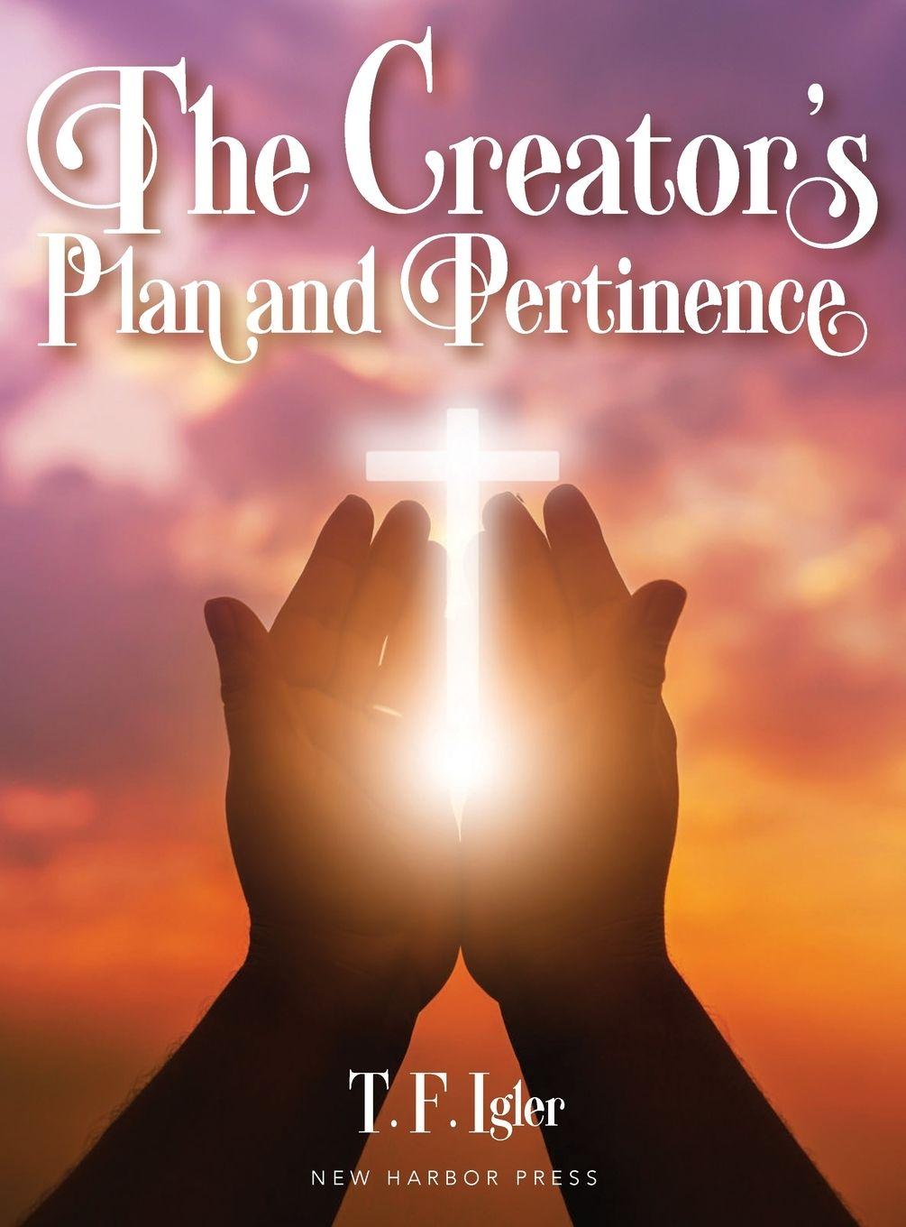 Vorderes Coverbild The Creator's Plan and Pertinence