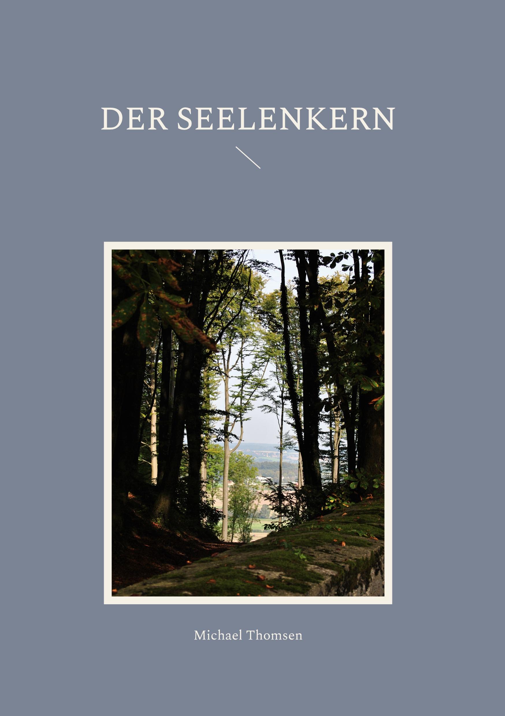 Vorderes Coverbild Der Seelenkern