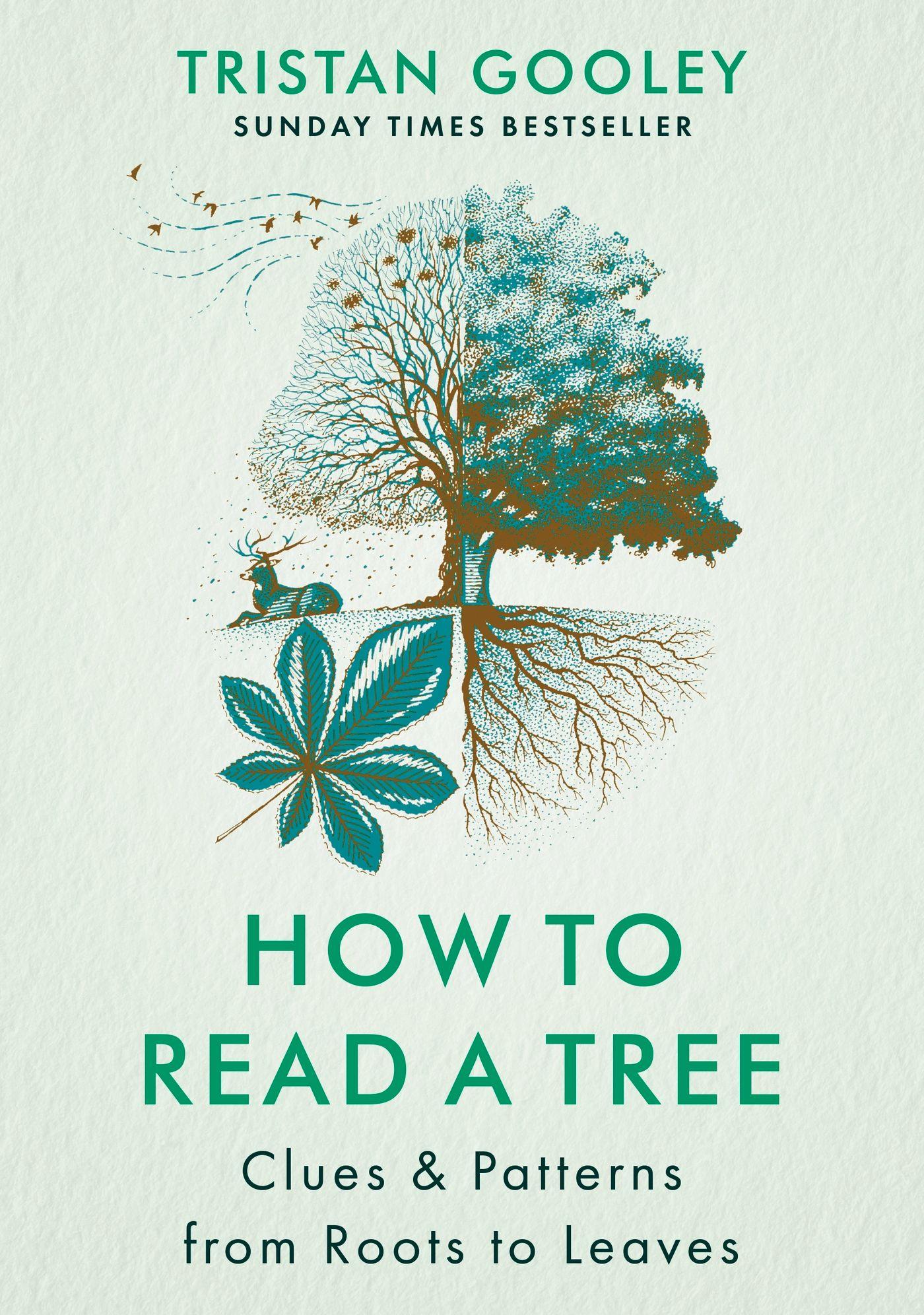 Vorderes Coverbild How to Read a Tree