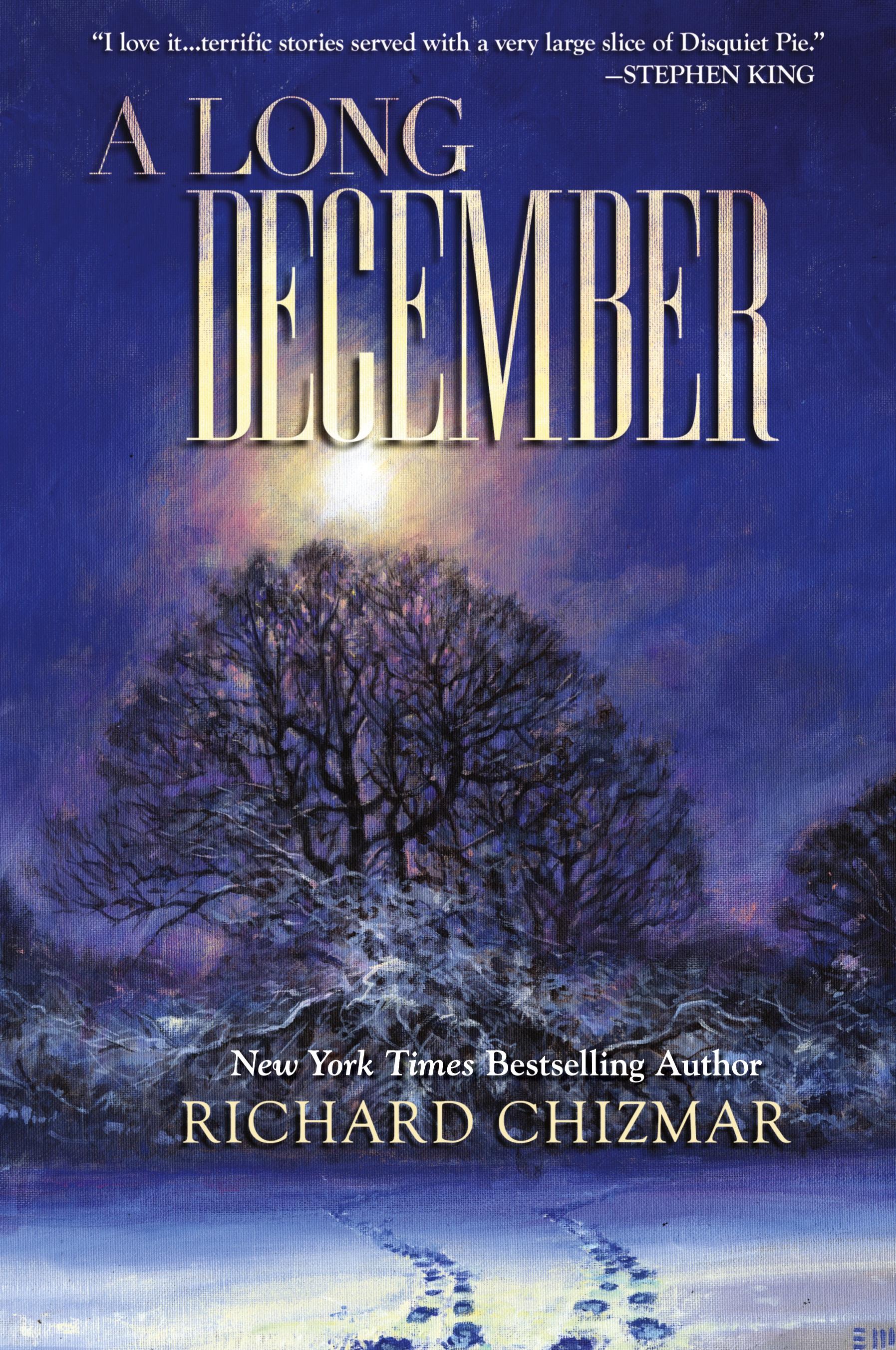 Vorderes Coverbild A Long December