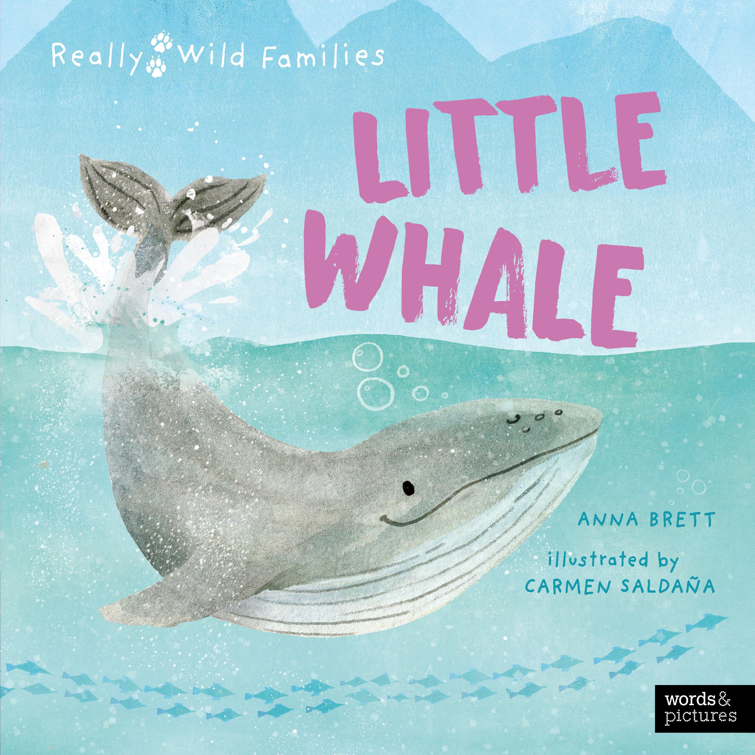 Vorderes Coverbild Little Whale
