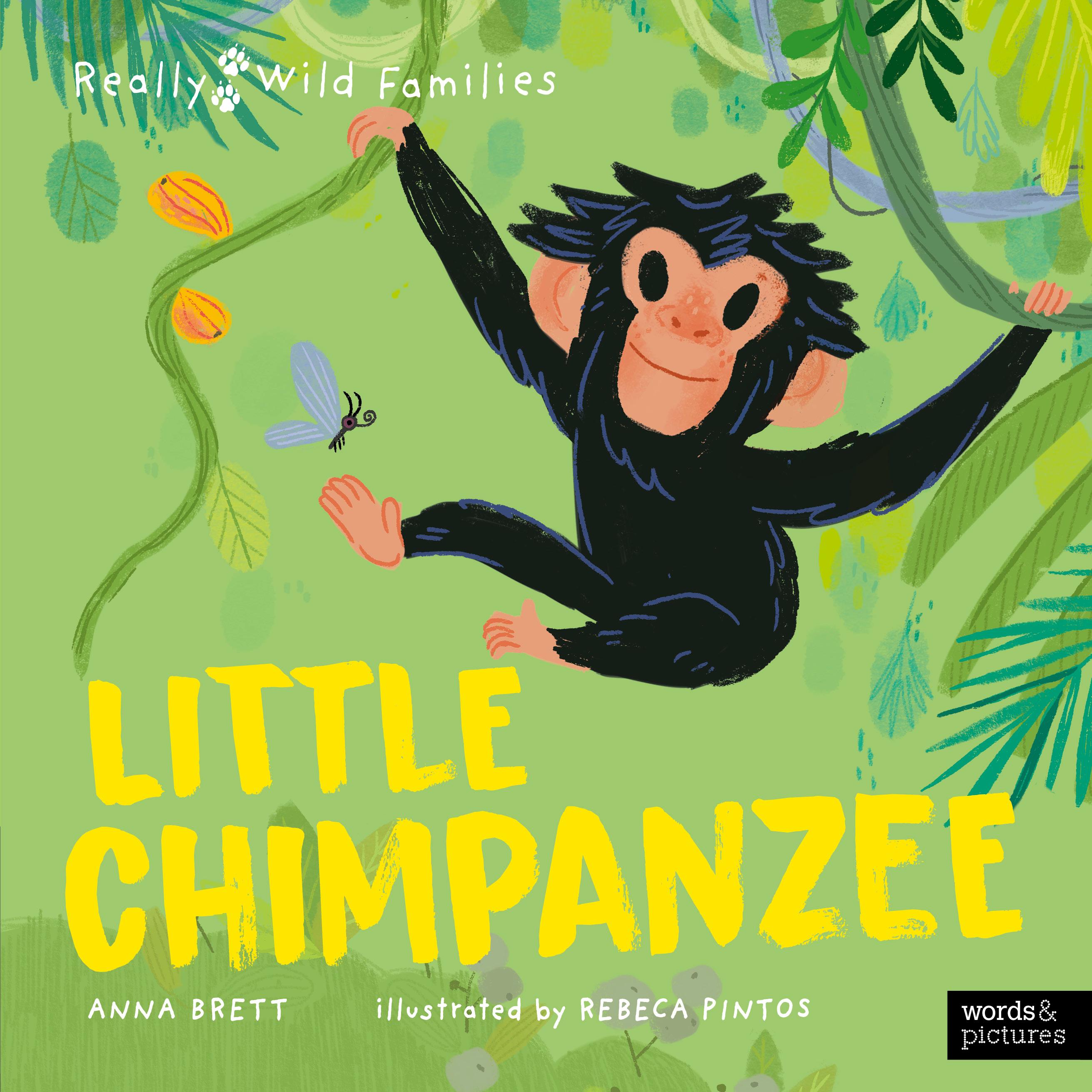 Vorderes Coverbild Little Chimpanzee