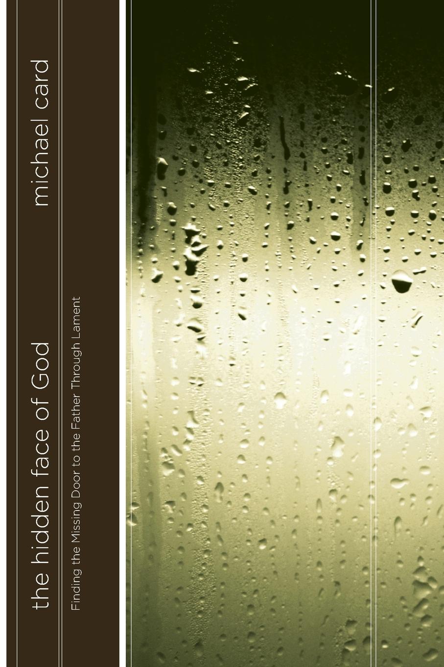 Vorderes Coverbild The Hidden Face of God