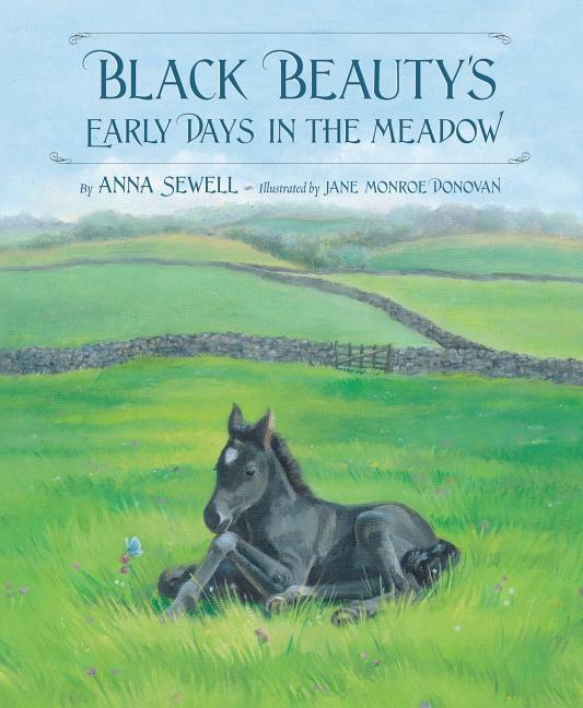 Vorderes Coverbild Black Beauty's Early Days in the Meadow