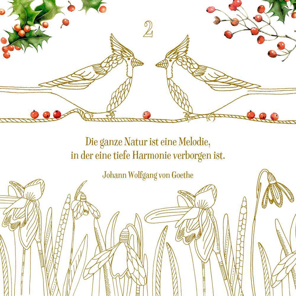 Beispielinhalt (Bild) Kreativ-Adventskalender - Zauber der Natur
