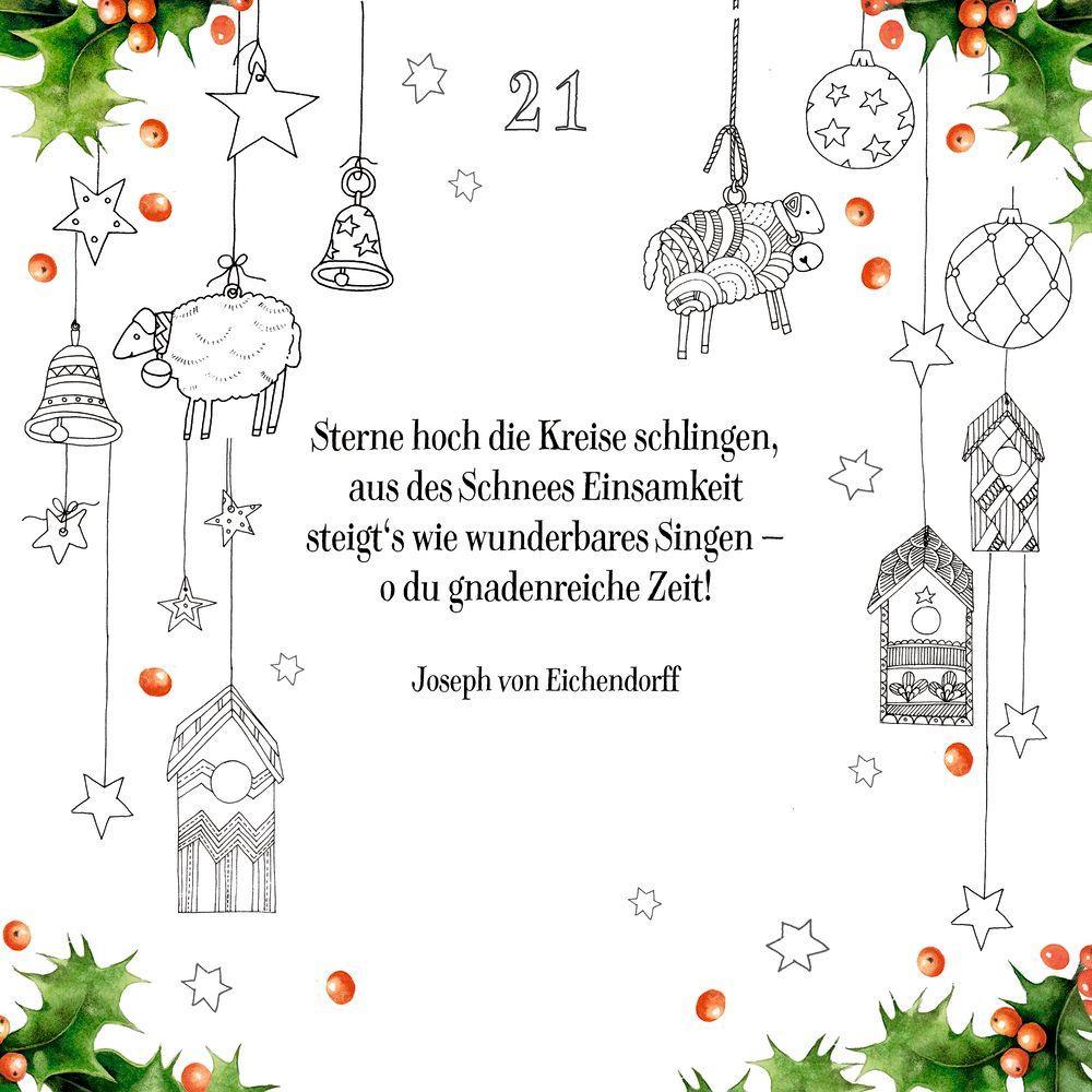 Beispielinhalt (Bild) Kreativ-Adventskalender - Zauber der Natur