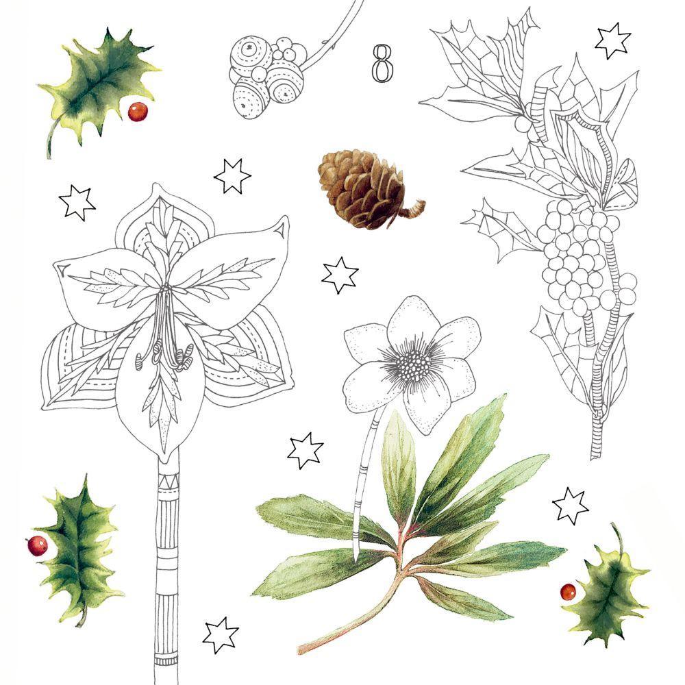 Beispielinhalt (Bild) Kreativ-Adventskalender - Wundervolle Winterwelt