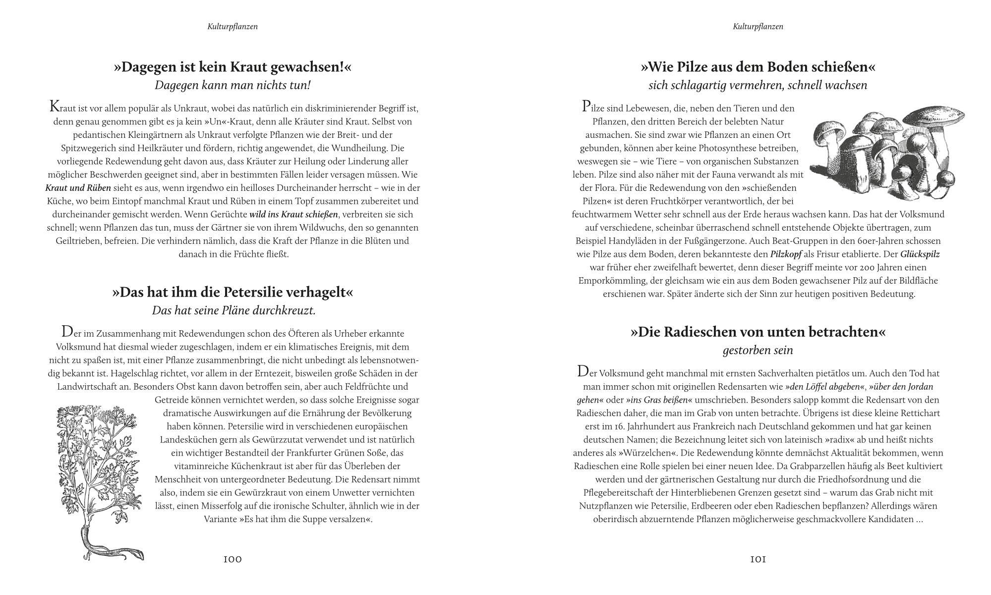 Beispielinhalt (Bild) Da kräht kein Hahn nach!