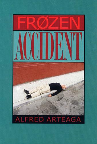 Vorderes Coverbild Frozen Accident