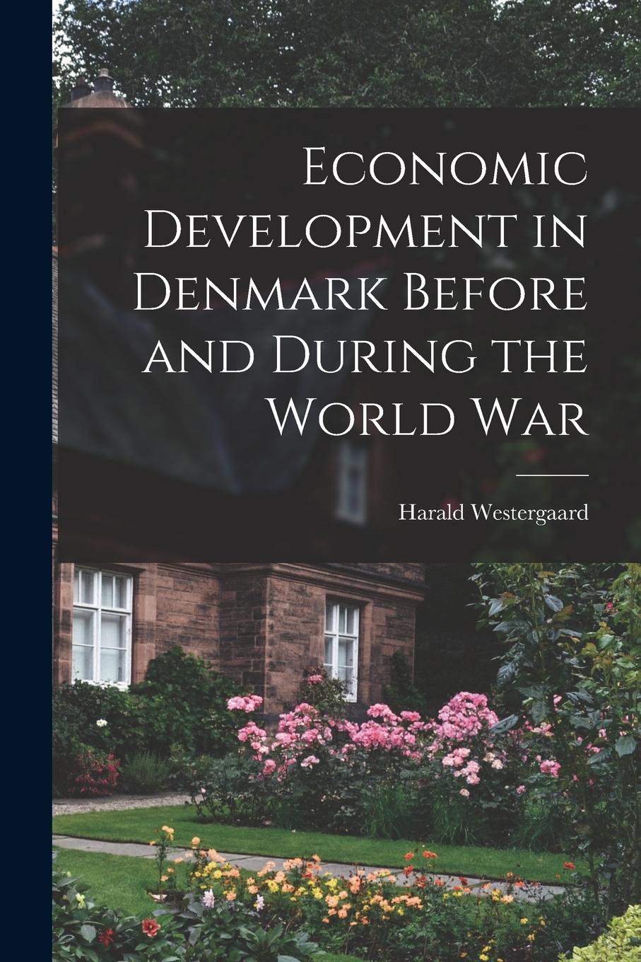 Vorderes Coverbild Economic Development in Denmark Before and During the World War
