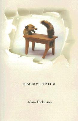 Vorderes Coverbild Kingdom, Phylum